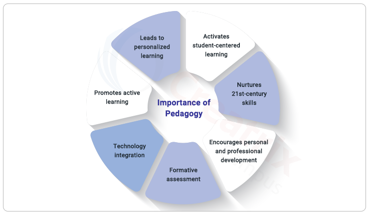 The Role Of Pedagogy In Modern Learning And Teaching